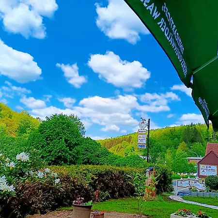 Zum Goldenen Loewen 酒店 *