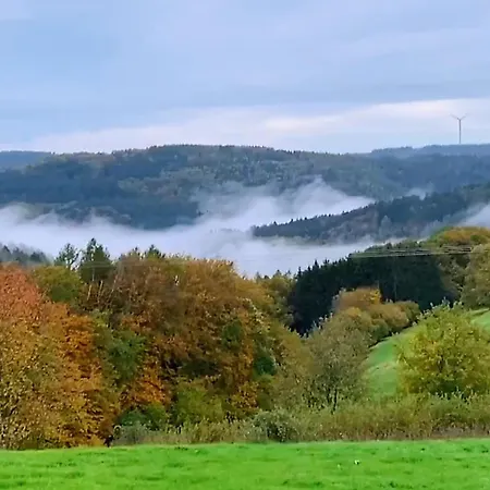 酒店 Zum Goldenen Loewen