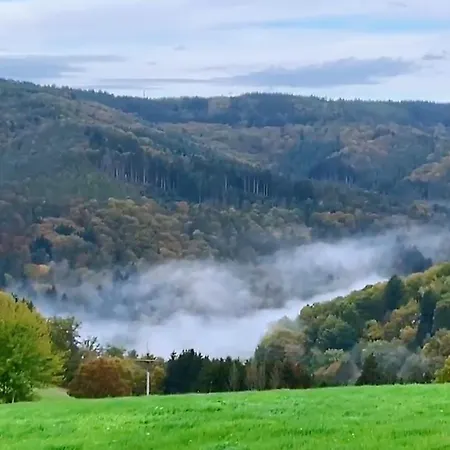 Zum Goldenen Loewen *