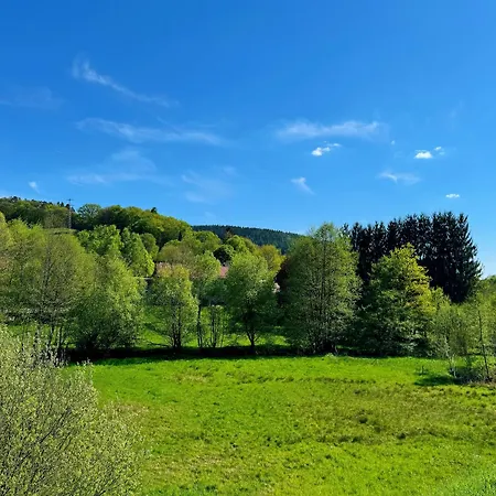 酒店 Zum Goldenen Loewen *